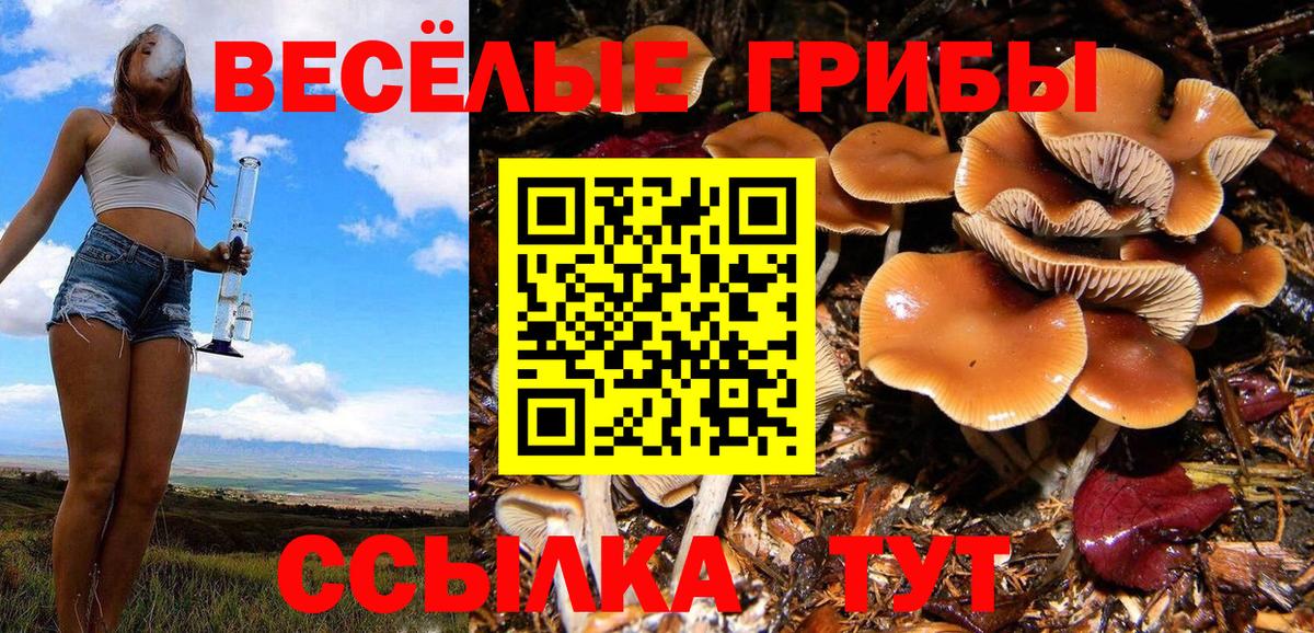 Копейск  Галлюциногенные грибы MAGIC MUSHROOMS  Вход с VPN 